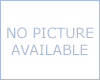 Mammalian Cell Culture Services - Click Image to Close